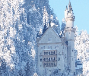 Bawaria, Drzewa, Lasy, Zamek Neuschwanstein, Niemcy