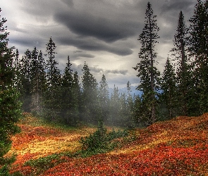 Jesień, Chmury, Góry, Drzewa