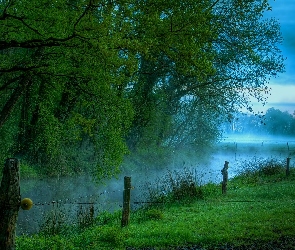 Łąka, Mgła, Drzewa, Ogrodzenie