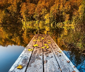 Liście, Molo, Drzewa, Jezioro
