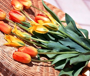 Bukiet, Kosz, Tulipany