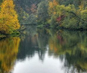 Rzeka, Jesień, Drzewa