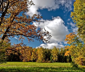 Jesień, Chmury, Drzewa