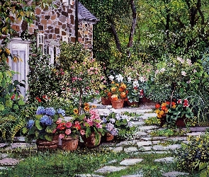 Dom, Doniczki, Kwiaty, Ogród