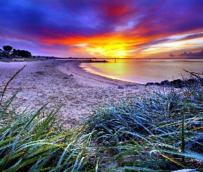 Trawa, Plaża, Zachód, Jezioro