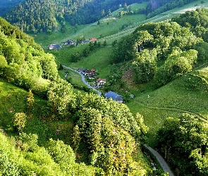 Droga, Wioska Schwarzwald, Góry, Doliny, Drzewa
