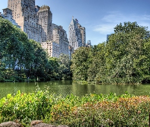 Rzeka, Wieżowce, Central Park, Nowy Jork