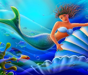 Syrenka, Muszla, Ocean