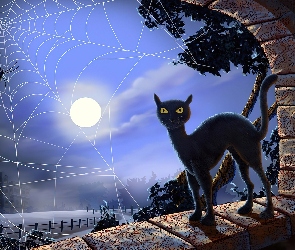Kot, Księżyc, Noc