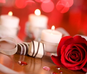 Róża, Świece, Walentynki