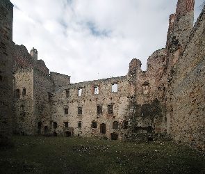 Ruiny, Drzewica