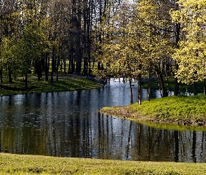 Las, Wiosna, Rzeka