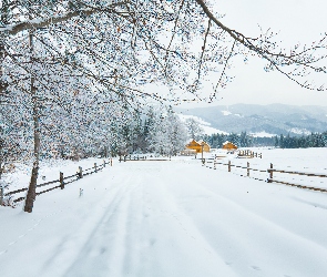 Drzewa, Domy, Zima, Śnieg, Droga