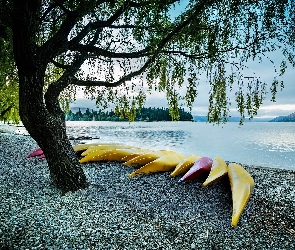 Drzewo, Łódki, Jezioro