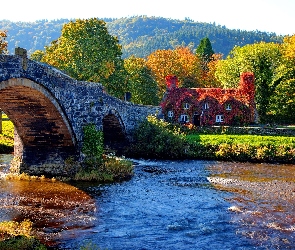 Rzeka, Dom, Most