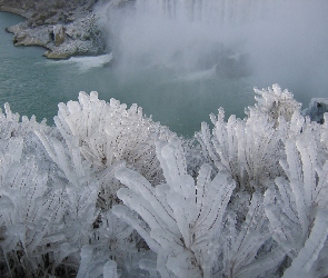 Zima, Kanada, Krzaczki, Niagara, Oblodzone