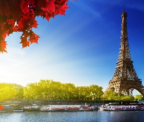 Wieża, Liście, Paryż, Czerwone, Eiffla