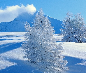 Niebo, Śnieg, Góry, Drzewa