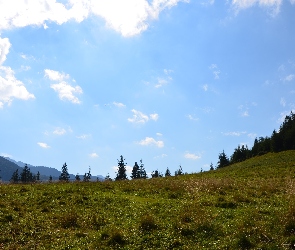 Łąka, Niebo, Zakopane