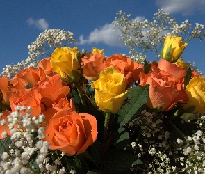 Gipsówka, Róże, Kwiaty, Bukiet