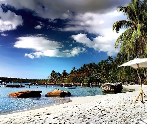 Morze, Palmy, Plaża, Parasol
