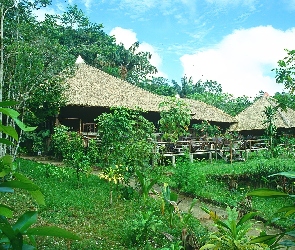 Dżungli, W, Amazonia, Chaty