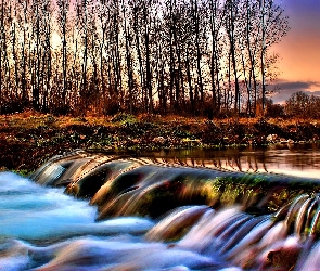 Wodospad, Rzeka, Drzewa