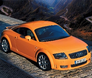 Audi TT, Pomarańczowe