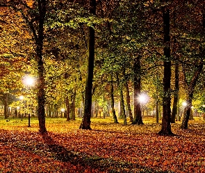 Park, Oświetlenie, Jesienny