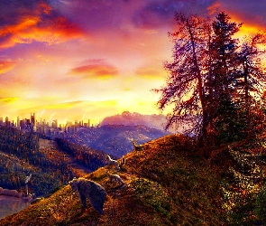Drzewa, Góry, Zachód, Słońca