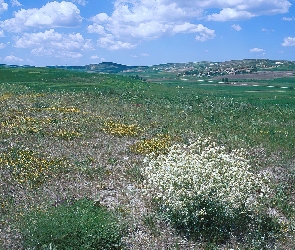 Chmury, Niebo, Łąka, Wyżyny