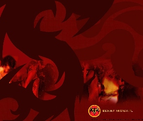 Rum, Bacardi