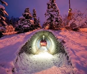 Zmierzch, Śnieg, Drzewa, Tunel