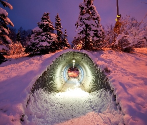 Zmierzch, Śnieg, Drzewa, Tunel