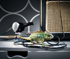 Kabel, Płyty, Kameleon, Słuchawki