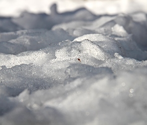 Zima, Śnieg