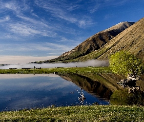 Jezioro, Drzewo, Góry