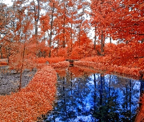Jesień, Rzeka, Drzewa, Liście