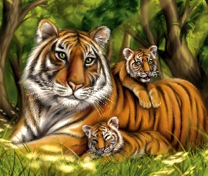 Tygrysica, Małe, Dwa