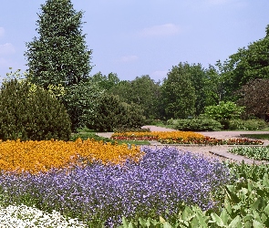 Park, Drzewa, Kwiaty