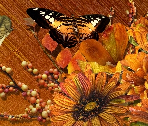 Jesienne, Motyle, Kwiaty