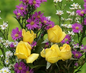 Bukiet, Róże, Żółte, Kwiatów