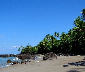Plaża, Kostaryka, Palmy, Kamienie, Morze