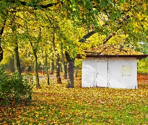 Biały, Jesień, Park, Domek, Mały