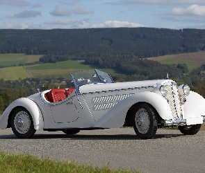 Biały, Audi Typ UW 225