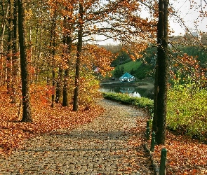 Jesień, Droga, Liście, Drzewa, Park