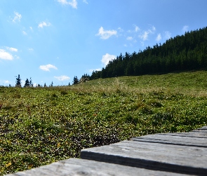 Łąka, Niebo