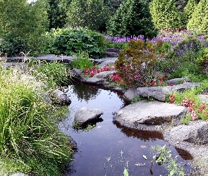 Ogród, Wodne, Oczko, Botaniczny, Skalniak