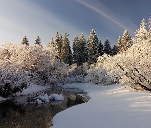 Śnieg, Rzeka, Niebo, Las