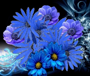 Kwiaty, Grafika, Niebieskie